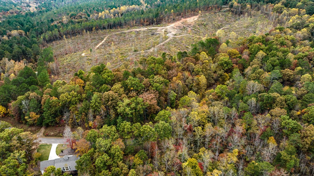 417755 Ellijay Land