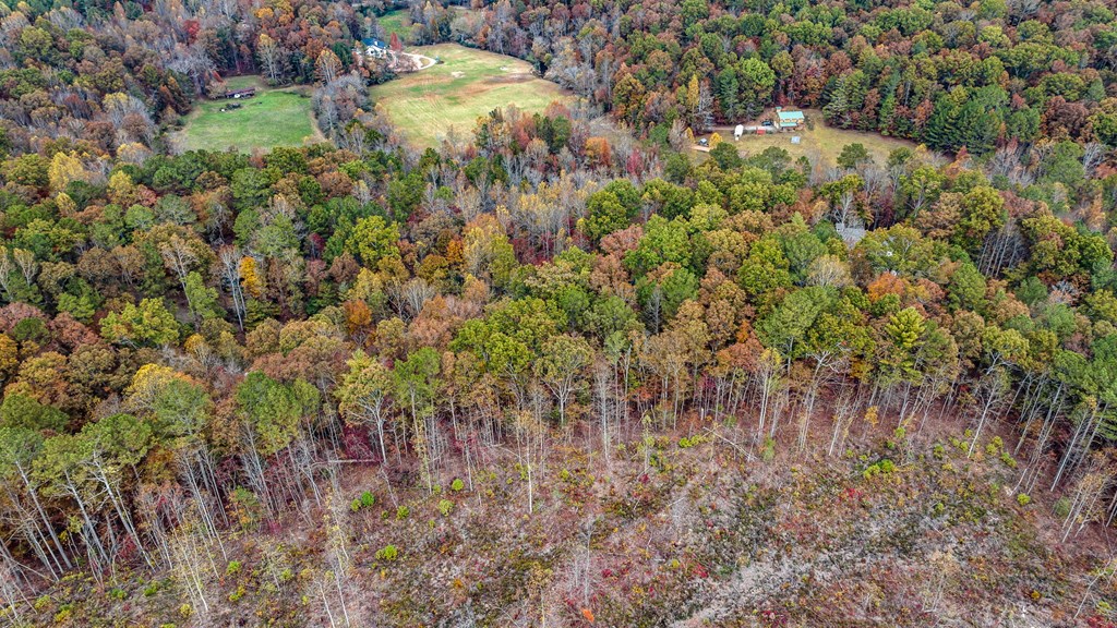 417755 Ellijay Land