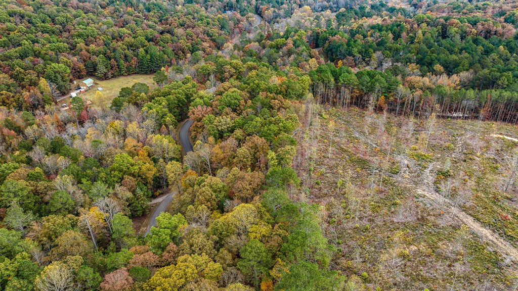417755 Ellijay Land
