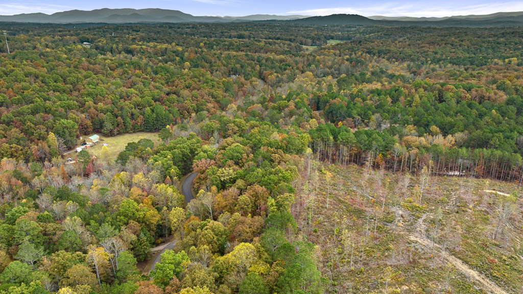417755 Ellijay Land