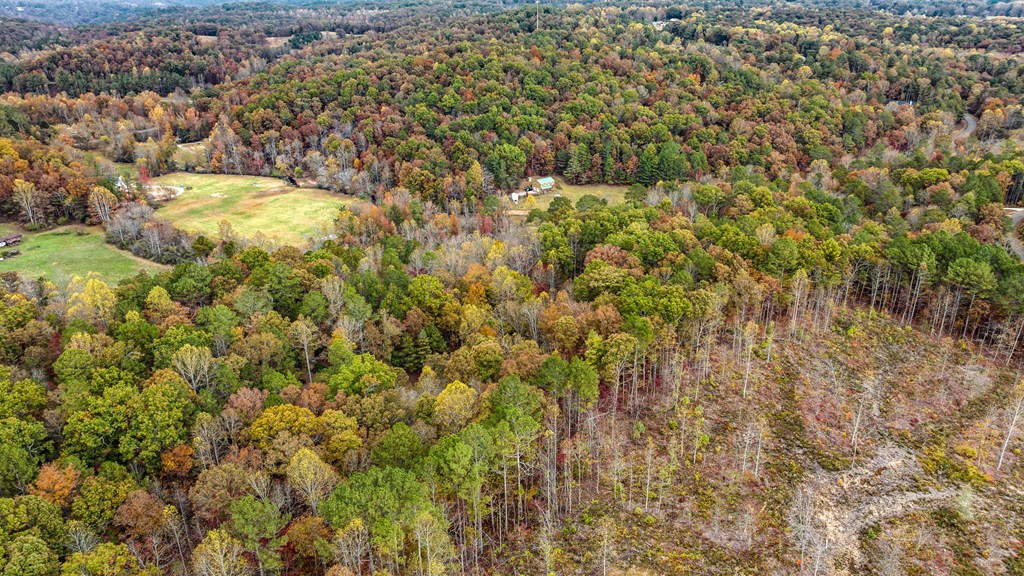 417755 Ellijay Land
