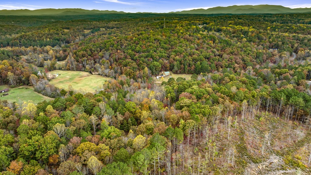 417755 Ellijay Land