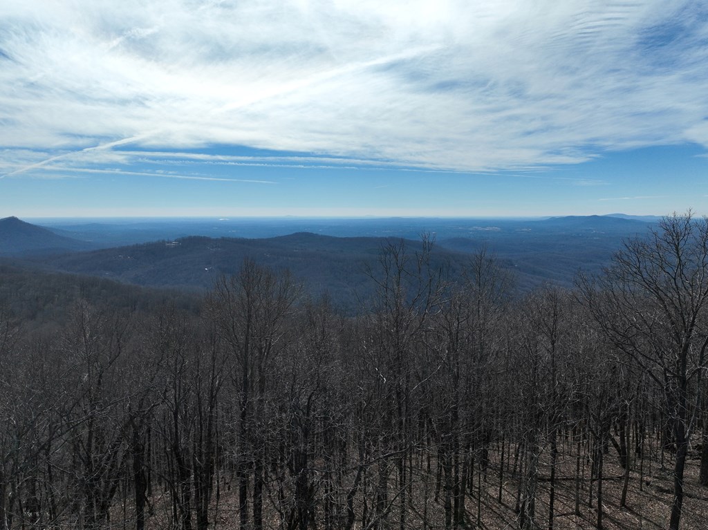 417756 Ellijay Land