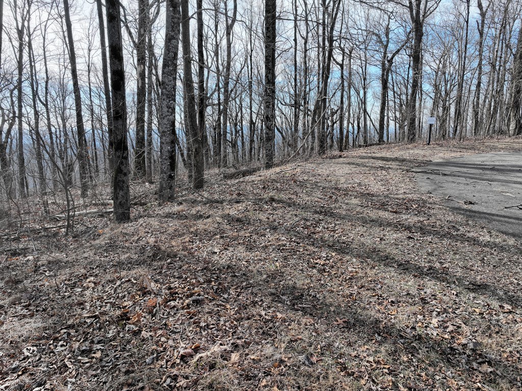 417756 Ellijay Land