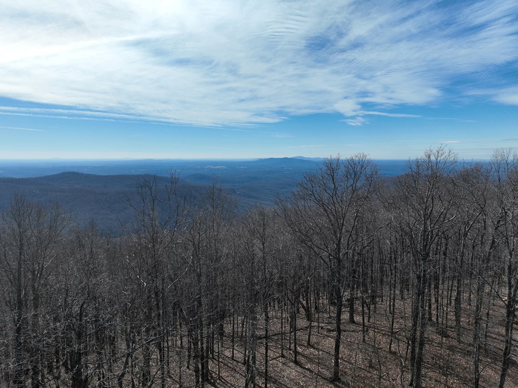 417756 Ellijay Land