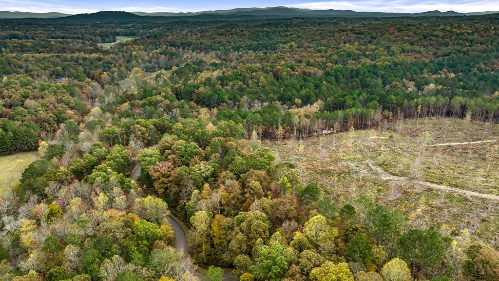 417758 Ellijay Land