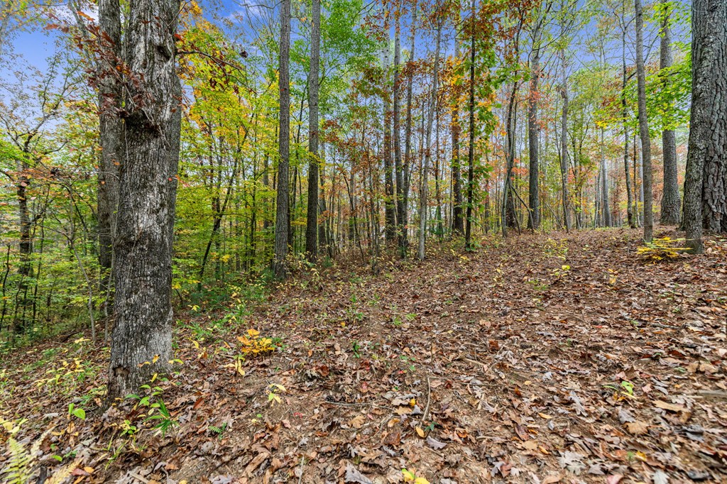 417759 Ellijay Land