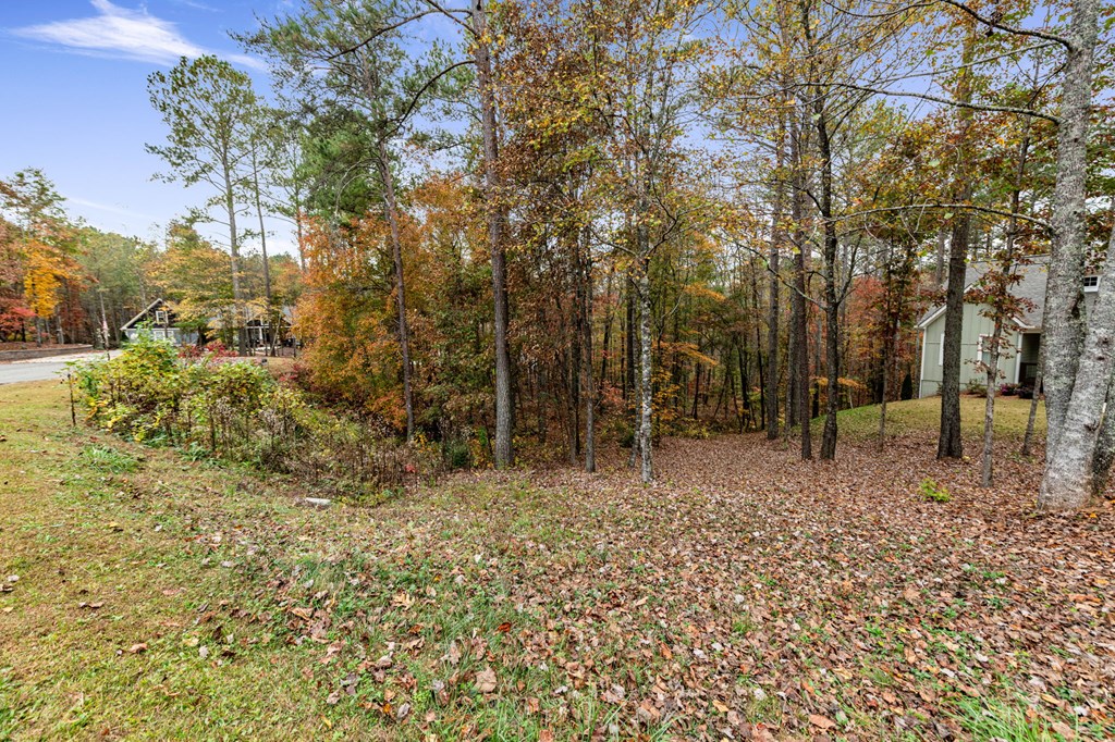 417759 Ellijay Land