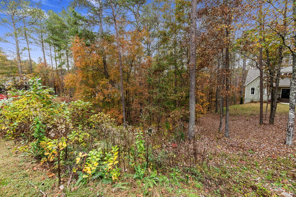 417759 Ellijay Land