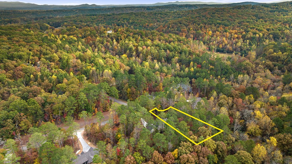 417759 Ellijay Land