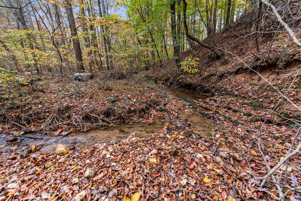 417760 Ellijay Land