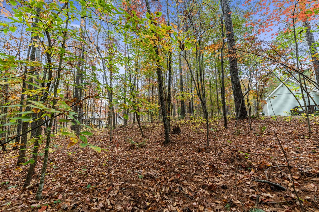 417760 Ellijay Land