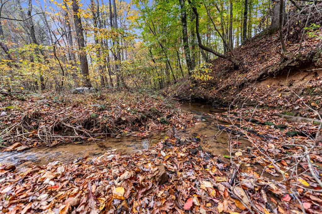 417760 Ellijay Land