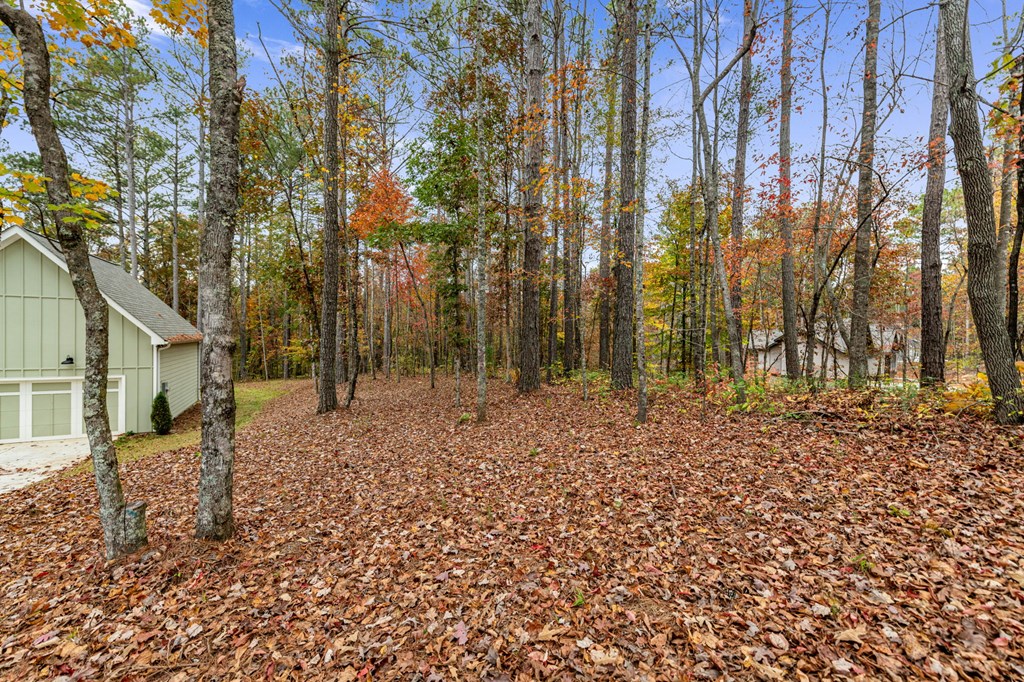 417760 Ellijay Land