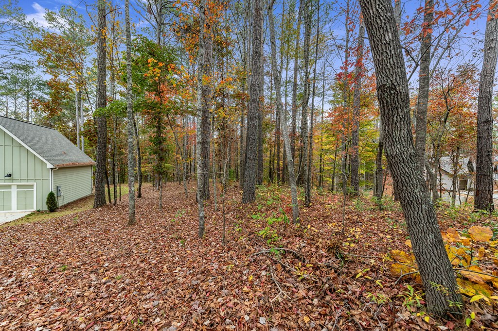 417760 Ellijay Land