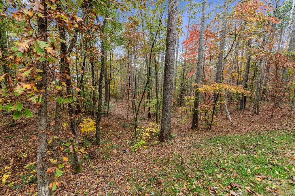 417760 Ellijay Land