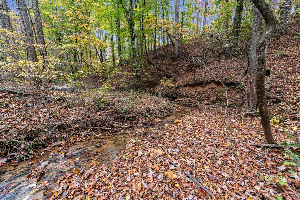 417760 Ellijay Land