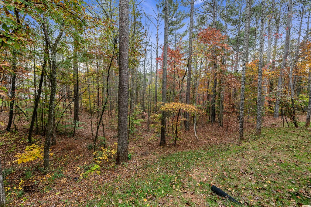 417760 Ellijay Land