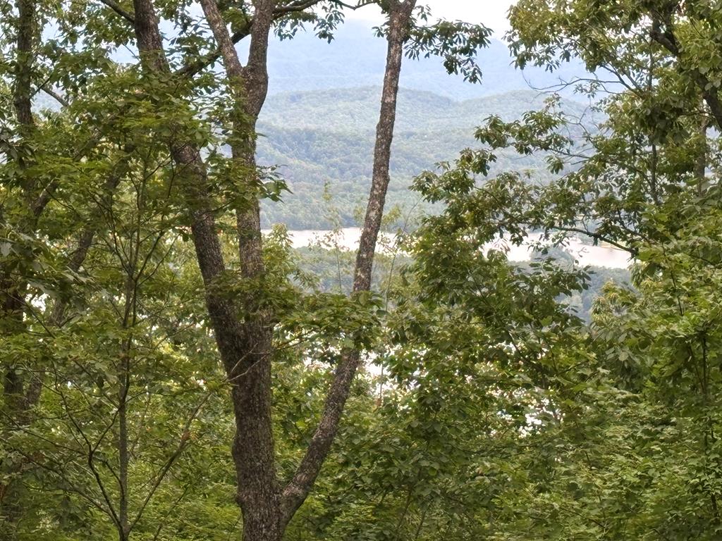 417761 Hayesville 