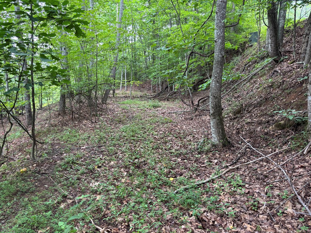 417761 Hayesville Land