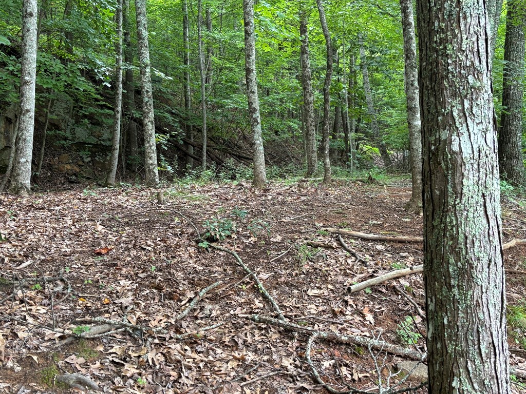 417761 Hayesville Land