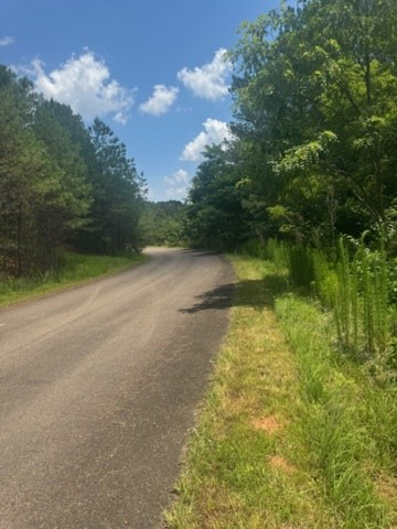 417763 Ellijay Land