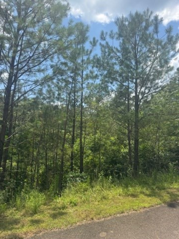 417763 Ellijay Land