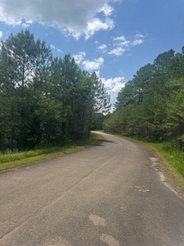 417763 Ellijay Land