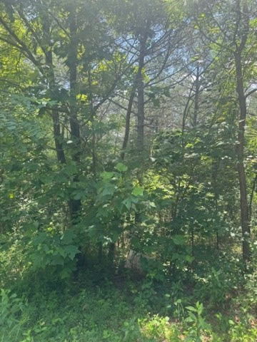 417763 Ellijay Land