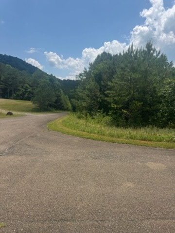 417763 Ellijay Land