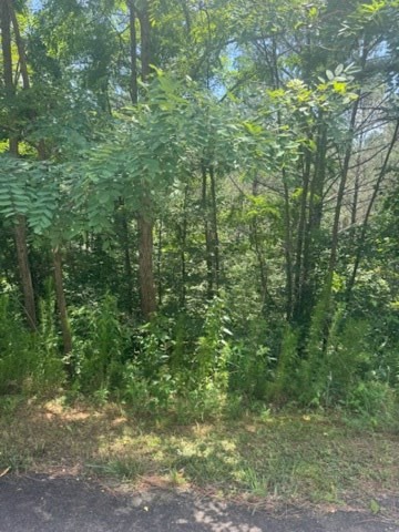 417763 Ellijay Land
