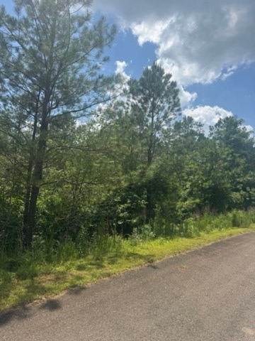 417763 Ellijay Land