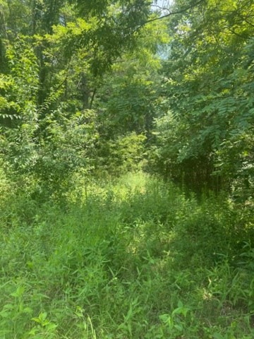 417763 Ellijay Land