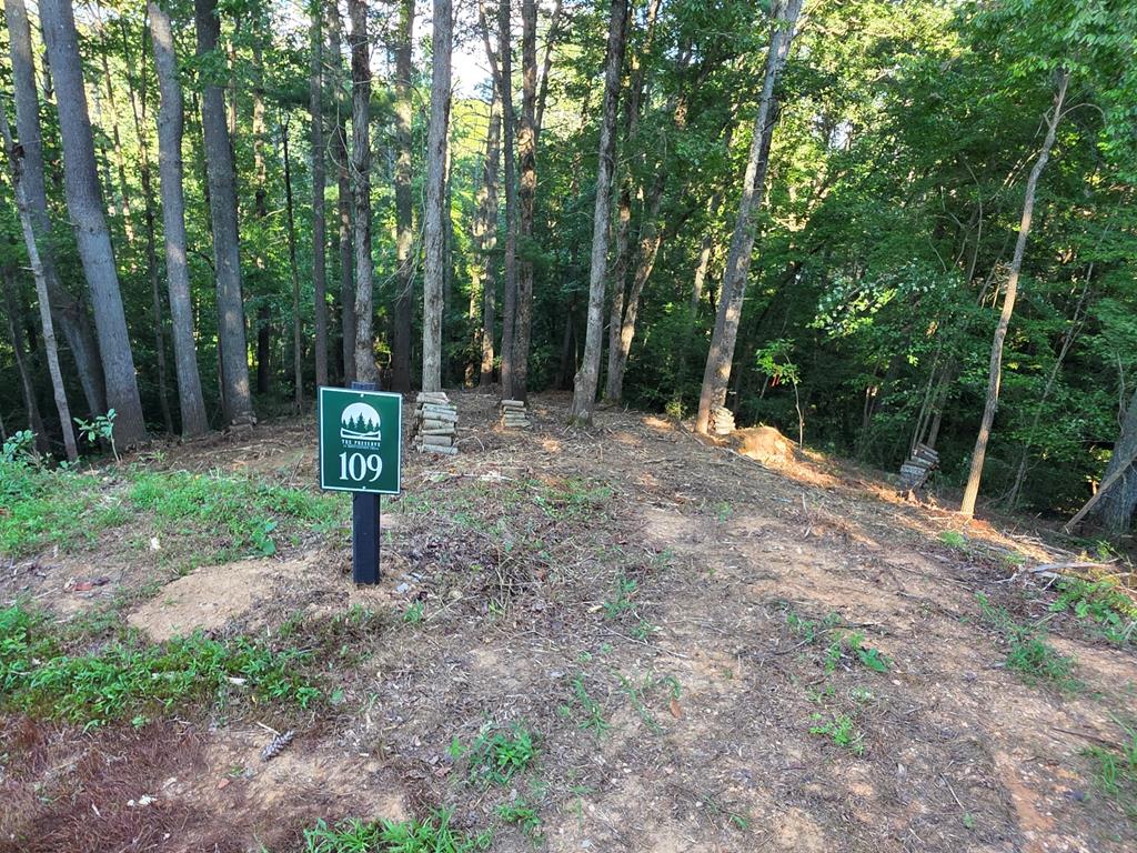 417764 Ellijay 