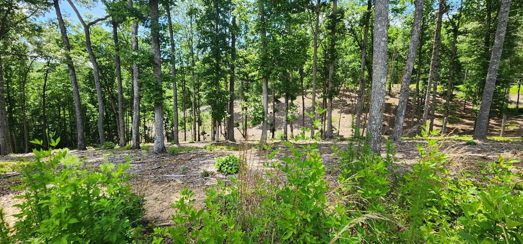 417765 Morganton 