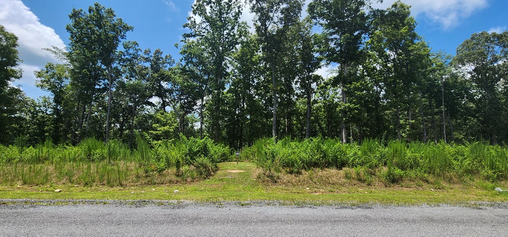 417765 Morganton Land