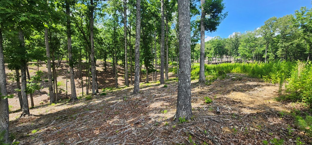 417765 Morganton Land