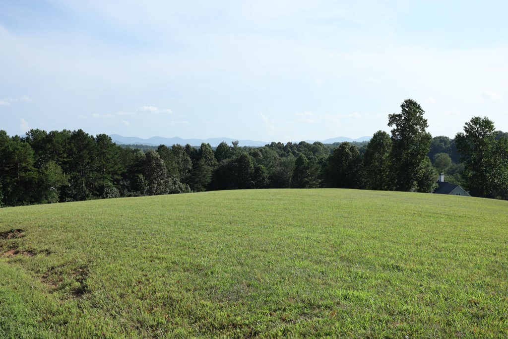 417778 Blairsville Land