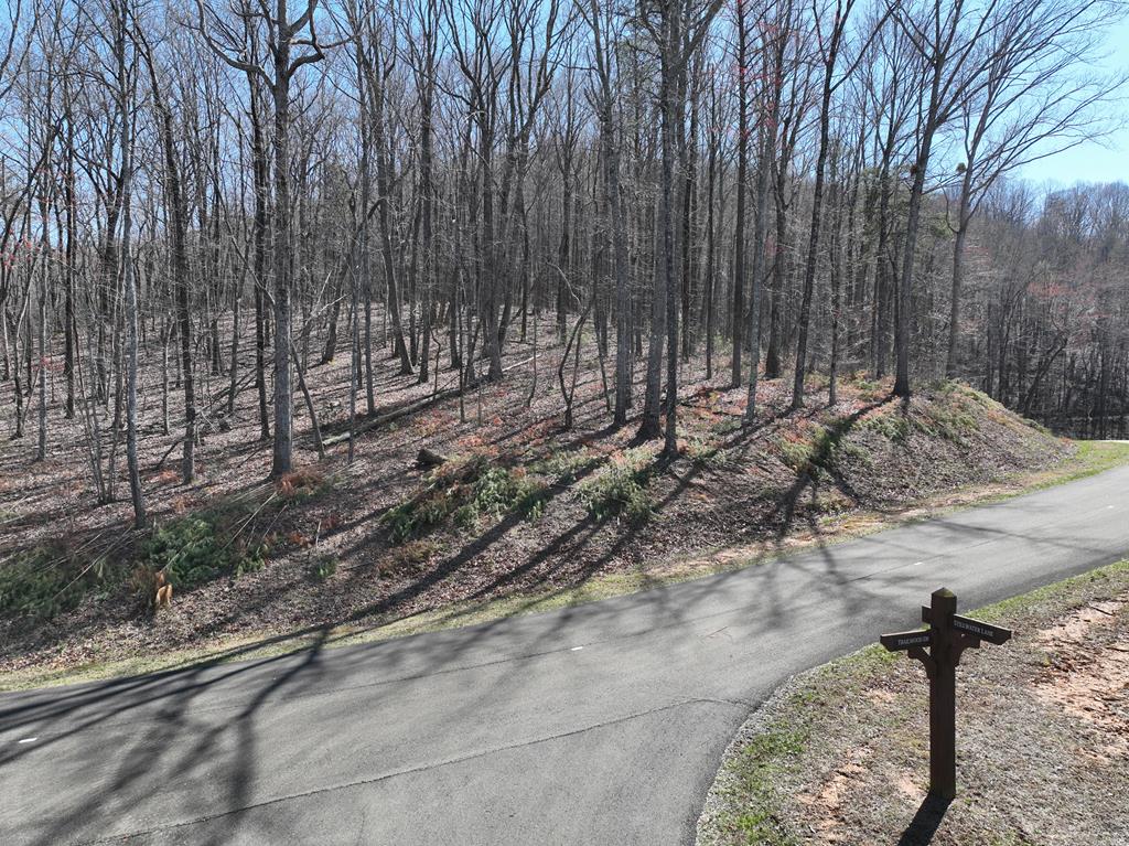 417785 Ellijay 