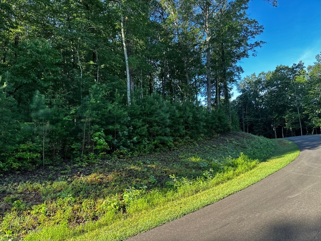417785 Ellijay Land