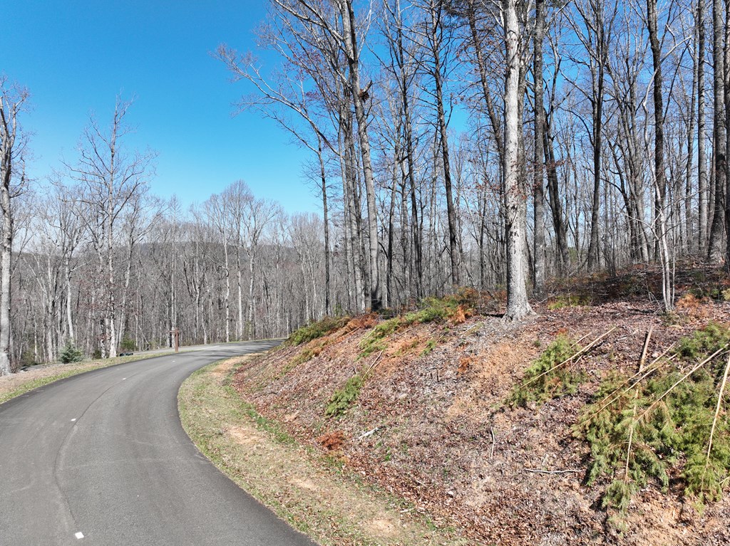 417785 Ellijay Land