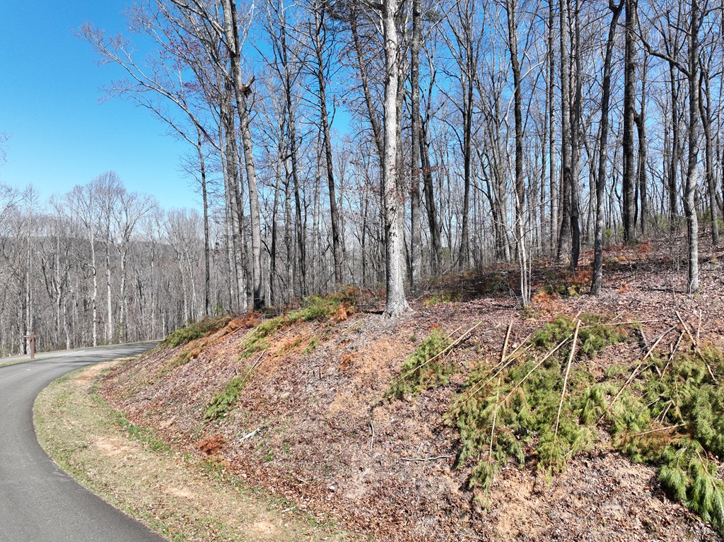 417785 Ellijay Land