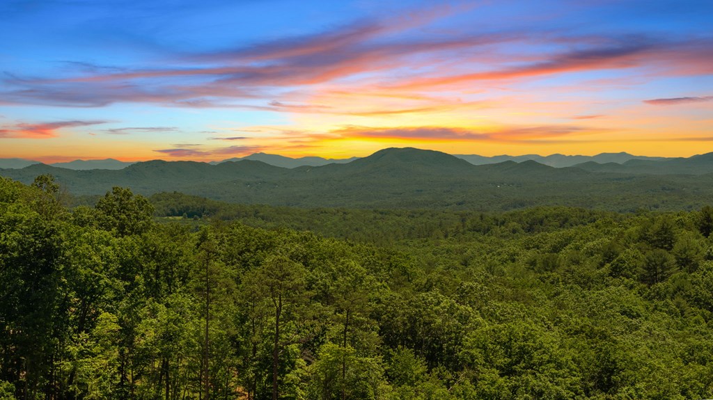 417786 Morganton Residential
