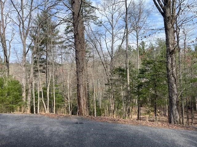 417787 Blairsville Land