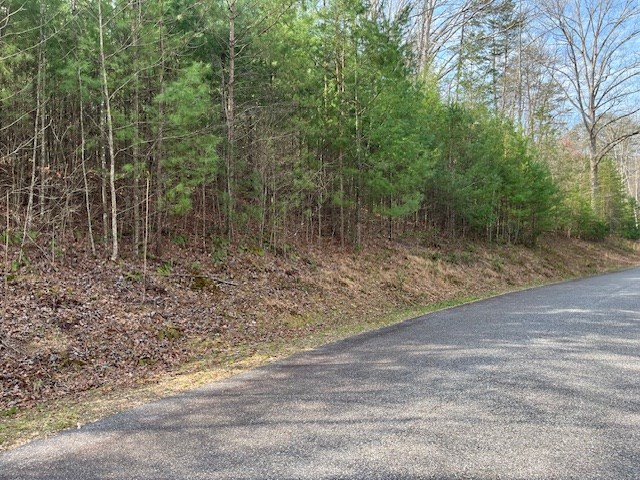 417787 Blairsville Land