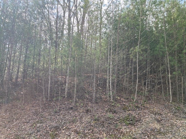 417787 Blairsville Land
