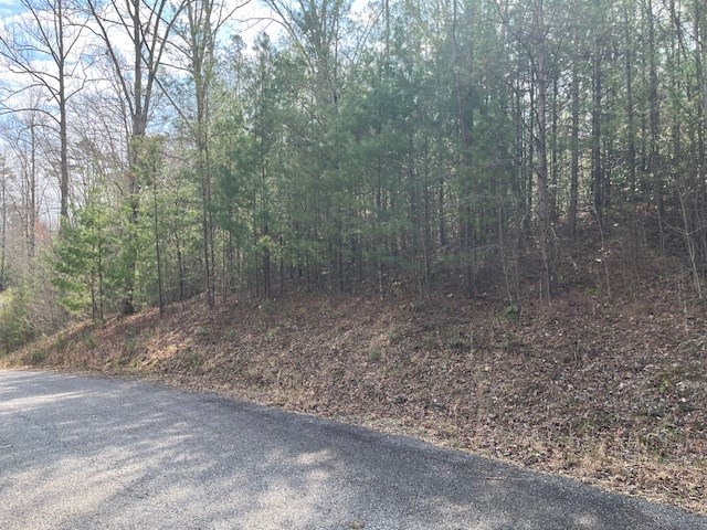 417787 Blairsville Land