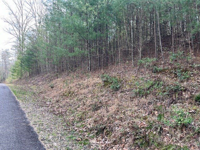 417787 Blairsville Land