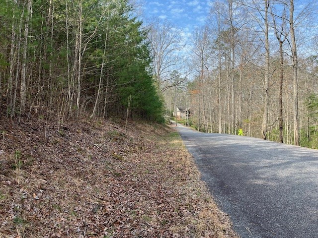417787 Blairsville Land