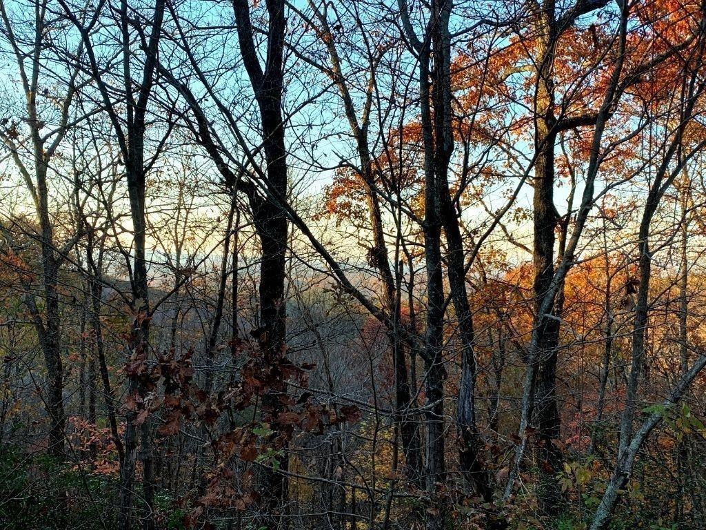417788 Jasper Land